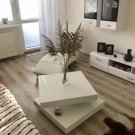 Апартаменты V Centre Mesta Свидник