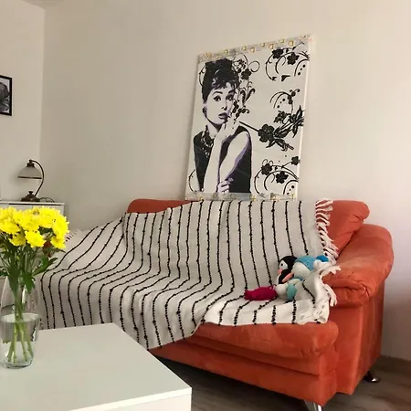 V Centre Mesta * Svidnik